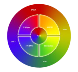 Whole Person Wheel colorful diagram